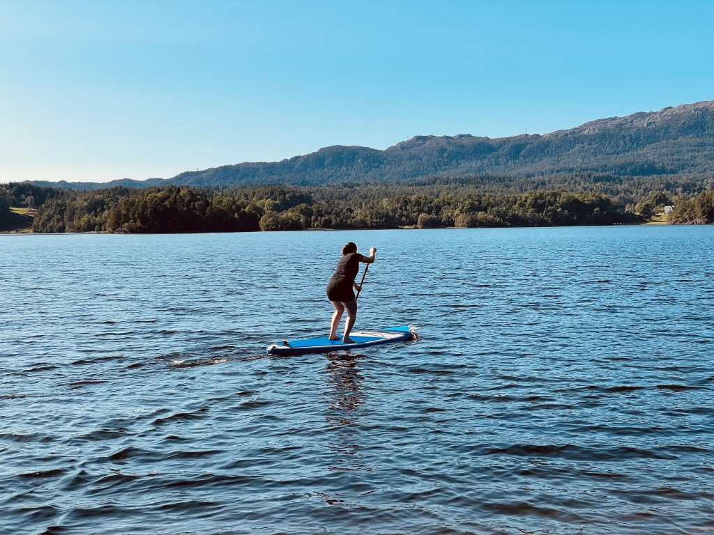 Kosaross på sjøen med paddleboard